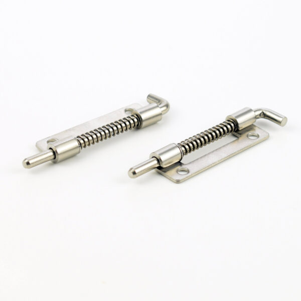 S3519 spring hinge Good price Stainless steel 304 Door Hinge cabinet spring hinge Spring Loaded Latch